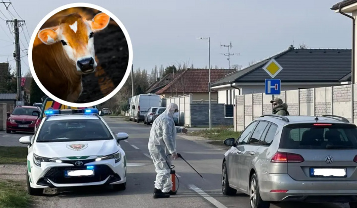 Fotka - Slintačka a krívačka 2025 – mimoriadne núdzové opatrenie